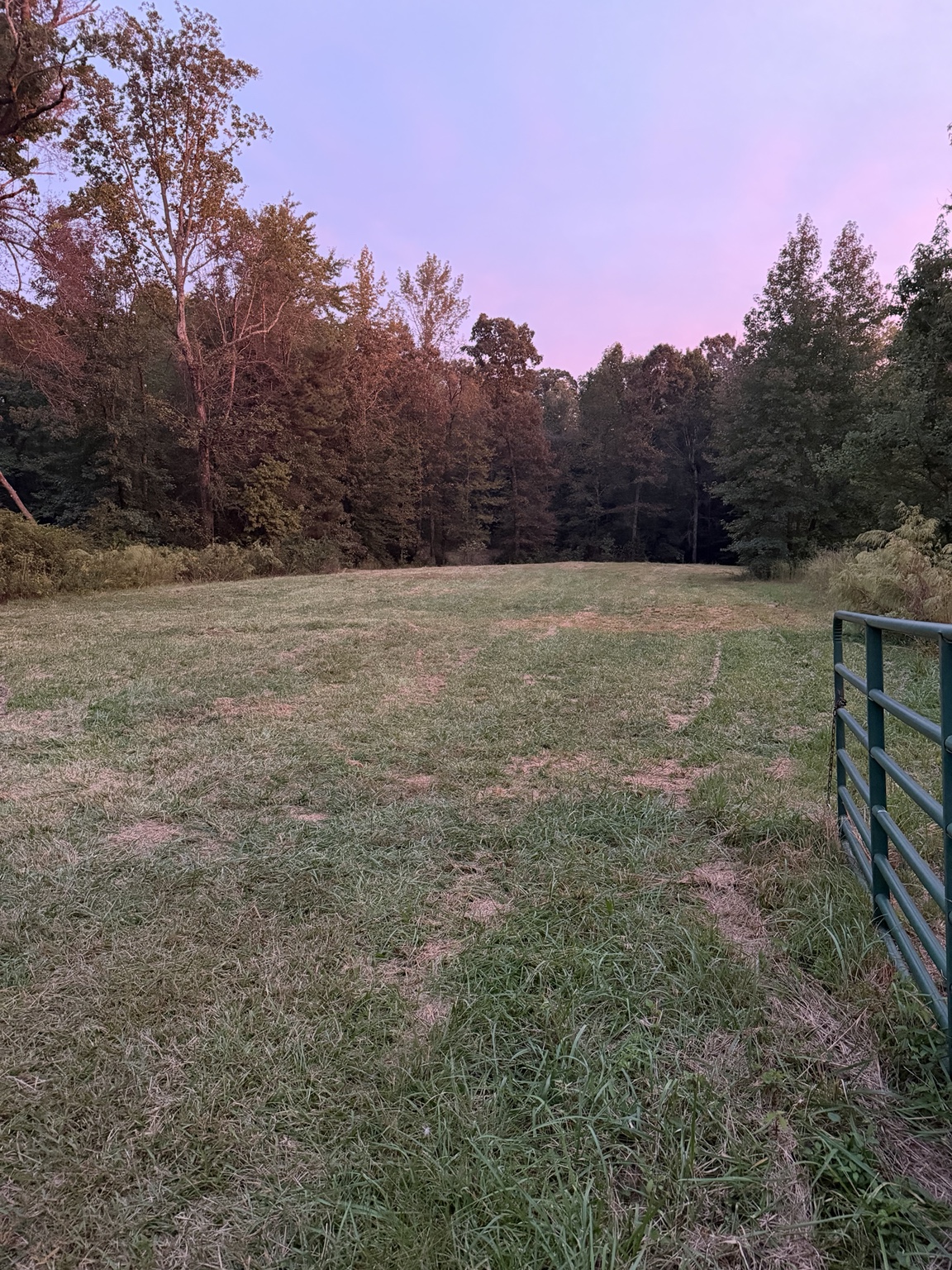 Little Vine Farm’s grassy pasture beneath a pink and lavender evening sky